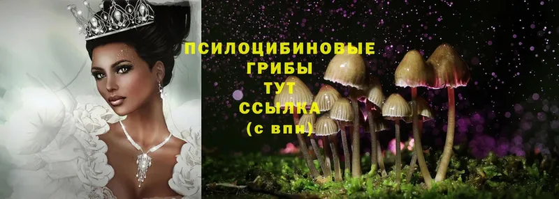 Псилоцибиновые грибы Psilocybe  площадка наркотические препараты  Беслан 